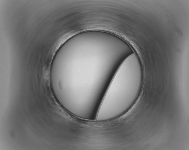 X0000113301529200909140935