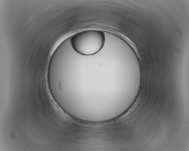 X0000113301530200909140935