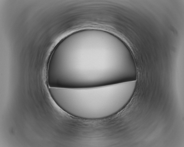 X0000113301531200909140935