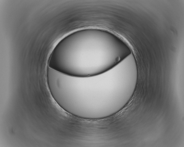 X0000113301532200909140935
