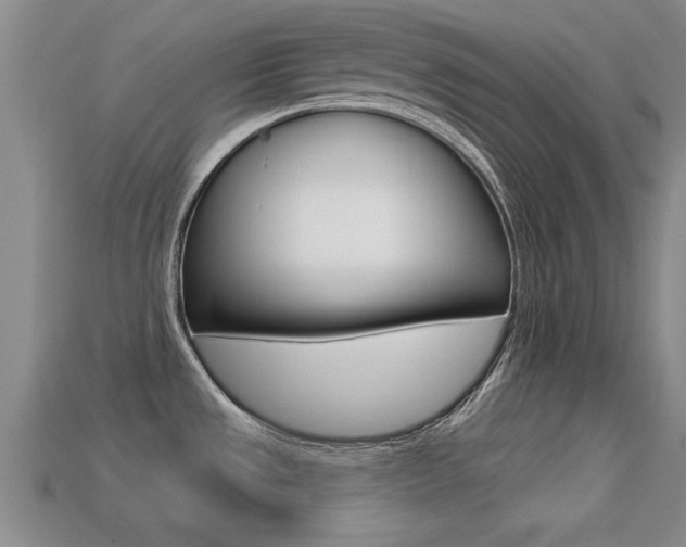 X0000113301533200909140935