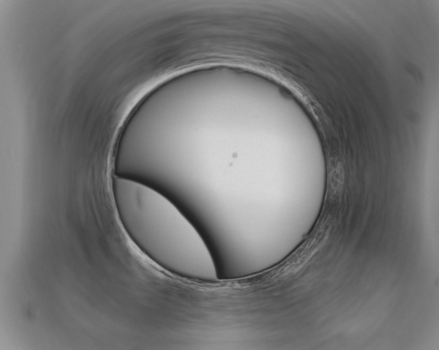 X0000113301535200909140935