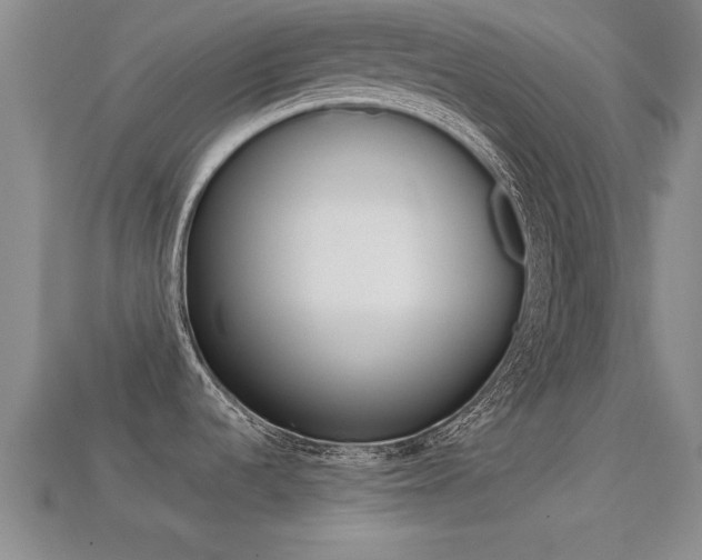 X0000113301536200909140935