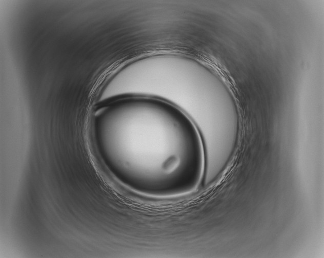 X0000113300001200909141256