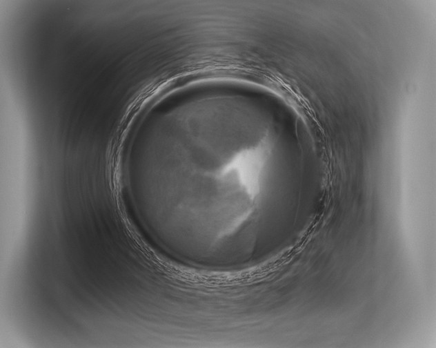 X0000113300002200909141256