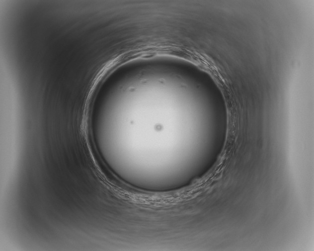 X0000113300003200909141256