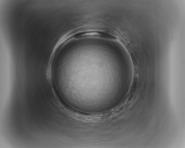 X0000113300004200909141256