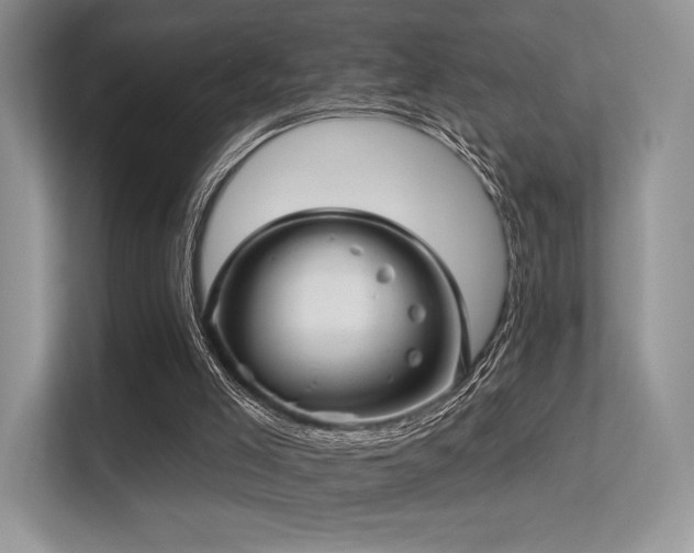 X0000113300005200909141256