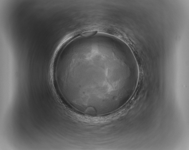 X0000113300006200909141256