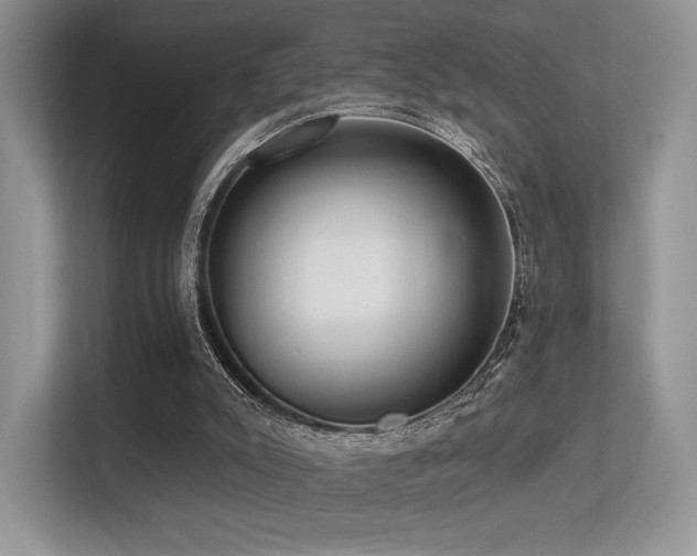 X0000113300007200909141256