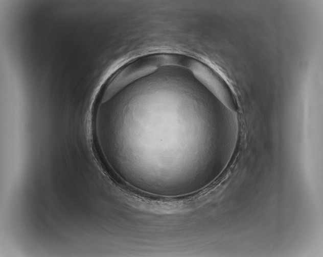 X0000113300008200909141256