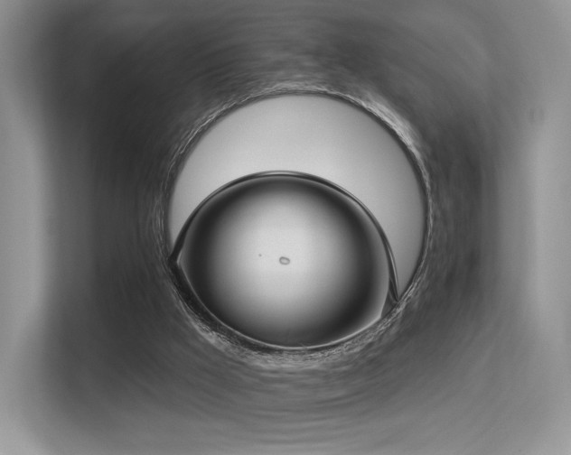 X0000113300009200909141256