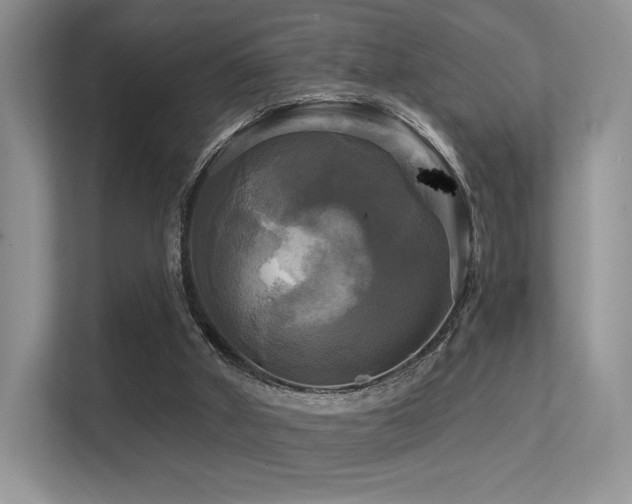 X0000113300010200909141256