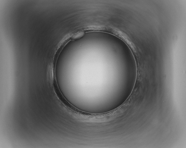 X0000113300011200909141256