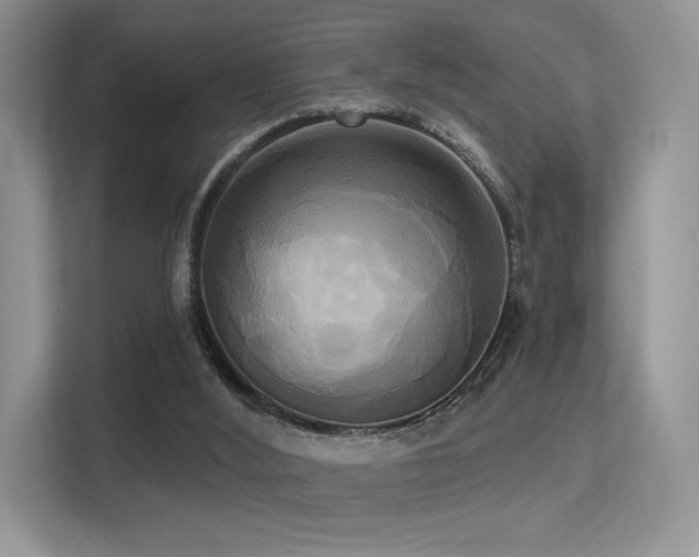 X0000113300012200909141256