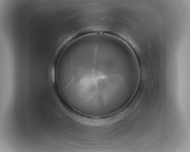 X0000113300014200909141256