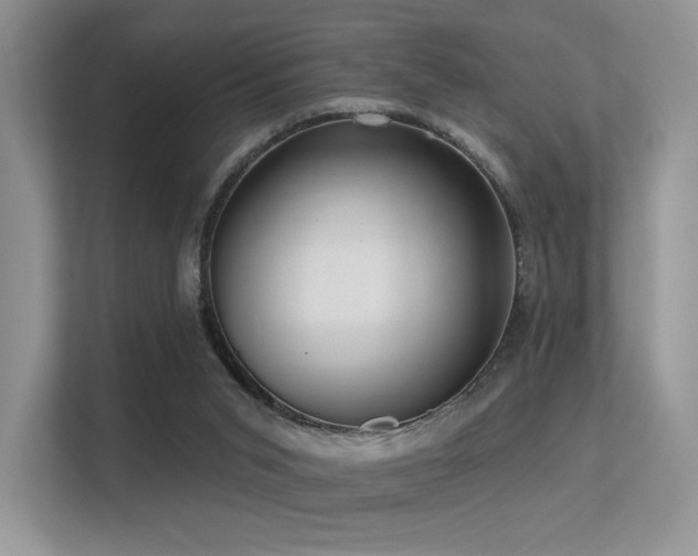 X0000113300015200909141256