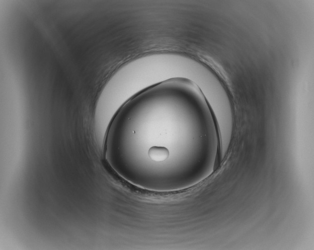 X0000113300017200909141256