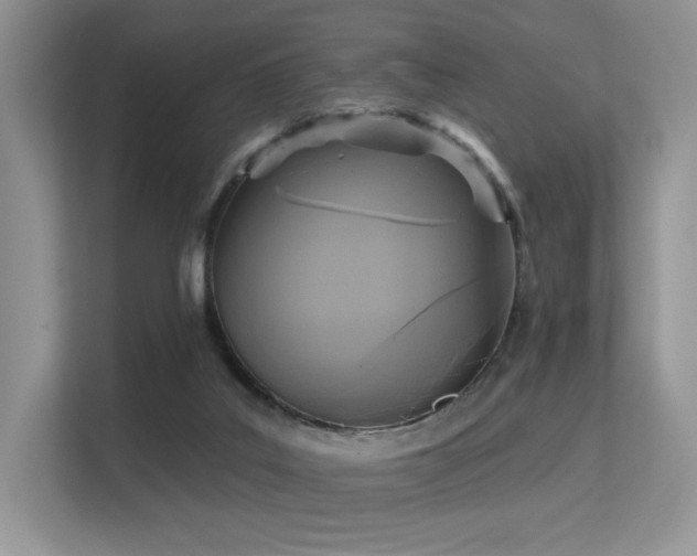 X0000113300019200909141256