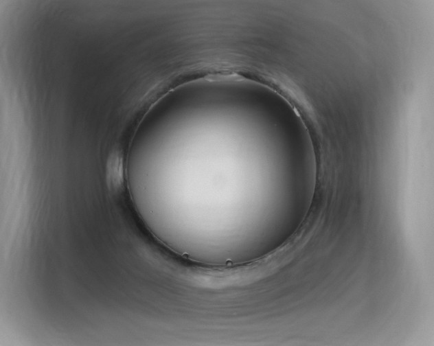 X0000113300021200909141256