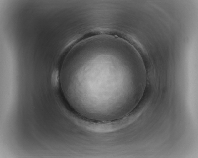 X0000113300024200909141256