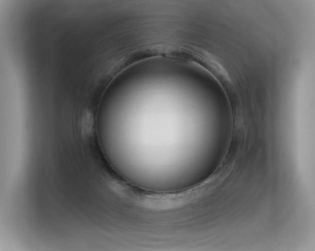 X0000113300025200909141256