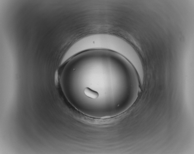 X0000113300027200909141256