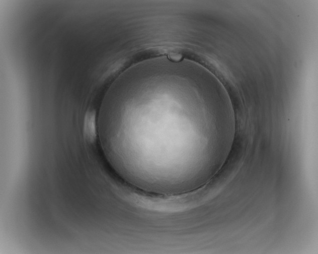 X0000113300028200909141256