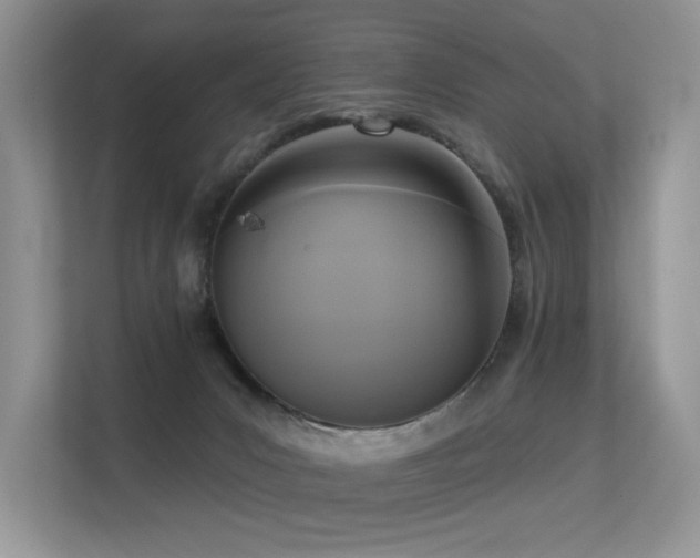 X0000113300031200909141256