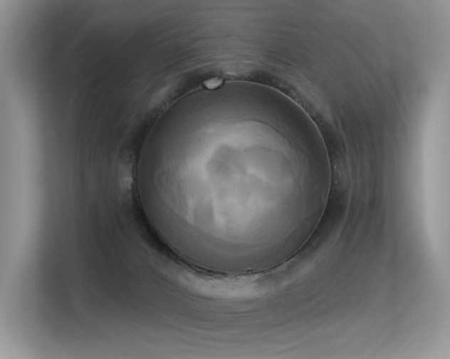 X0000113300032200909141256