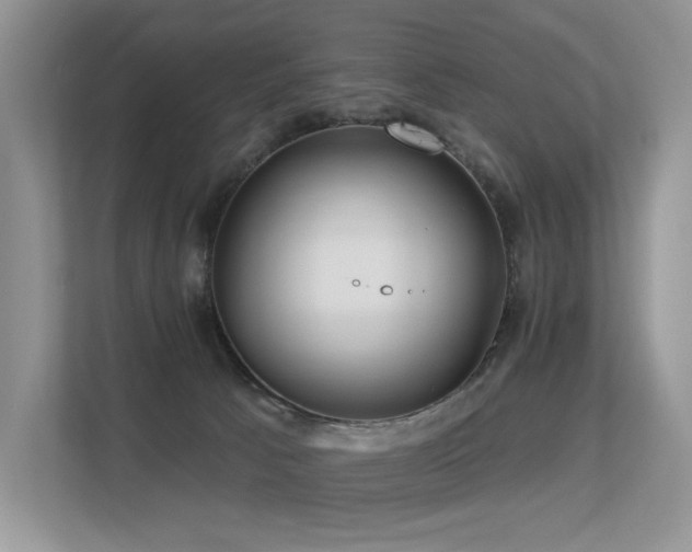 X0000113300033200909141256