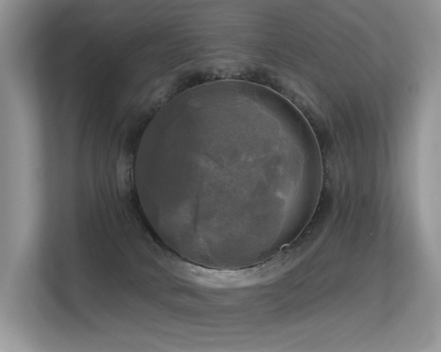 X0000113300034200909141256