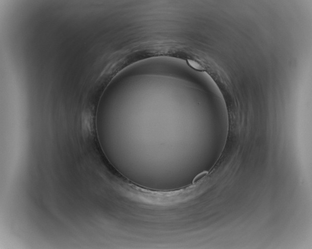 X0000113300035200909141256