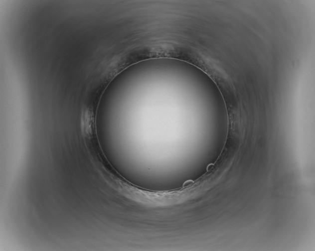 X0000113300038200909141256