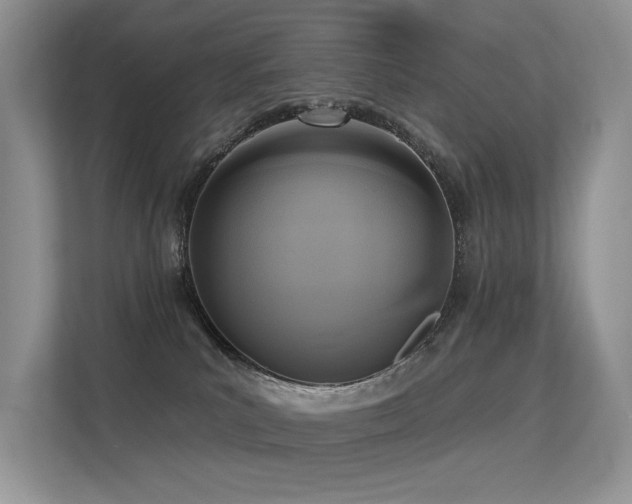 X0000113300039200909141256