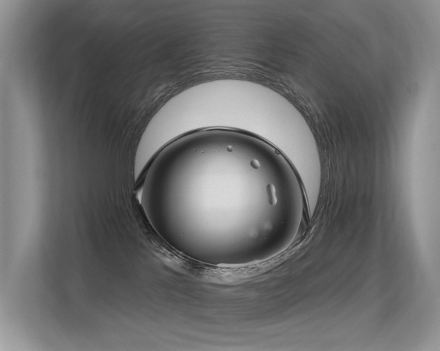 X0000113300041200909141256