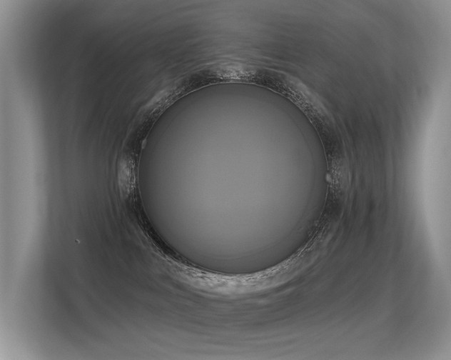 X0000113300043200909141256