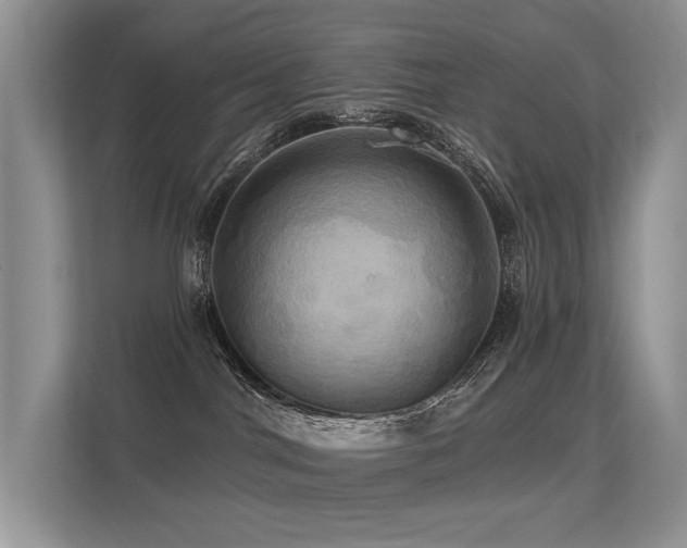 X0000113300044200909141256