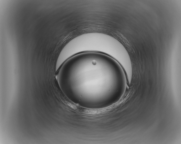 X0000113300045200909141256