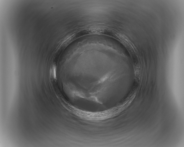 X0000113300046200909141256