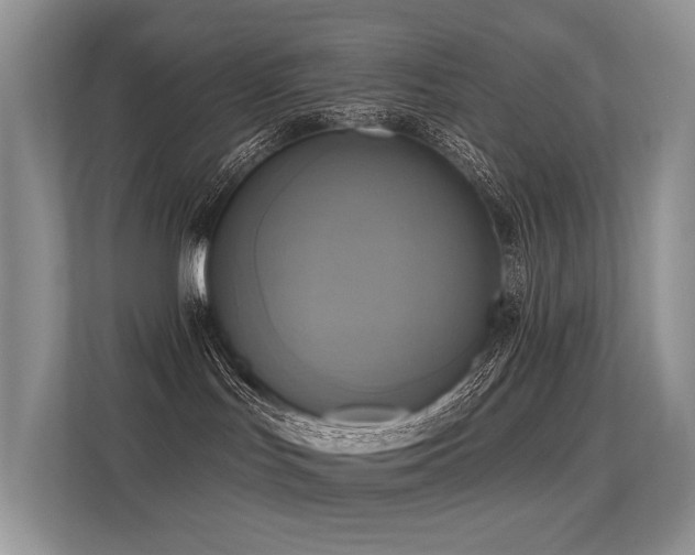 X0000113300047200909141256