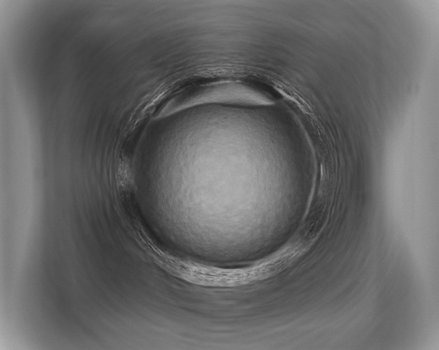 X0000113300048200909141256