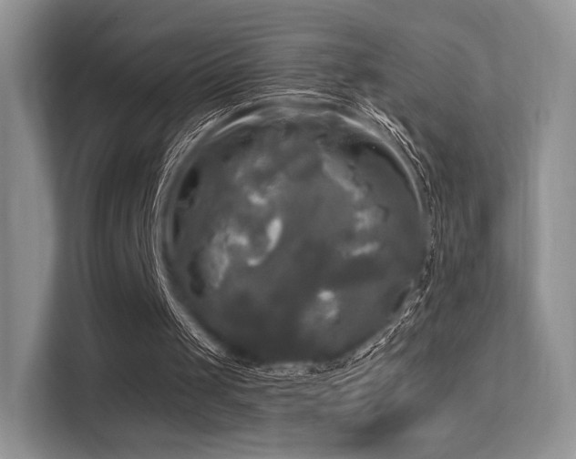 X0000113300049200909141255