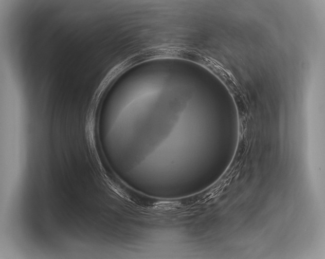 X0000113300051200909141255