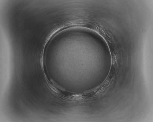 X0000113300052200909141255