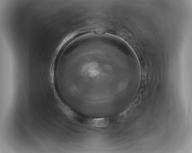 X0000113300054200909141255