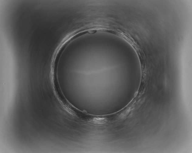 X0000113300055200909141255