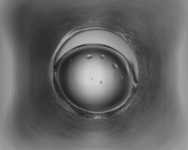 X0000113300056200909141255