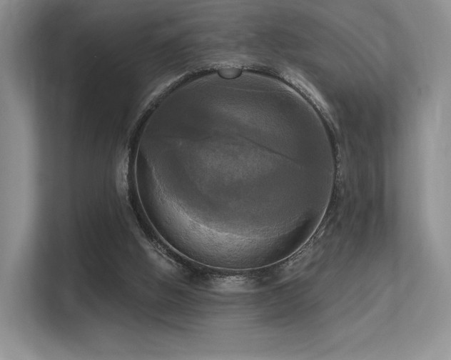 X0000113300058200909141255