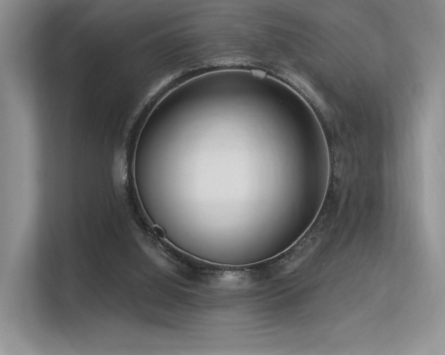 X0000113300060200909141255